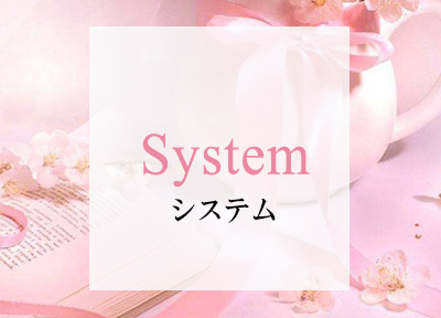 システム